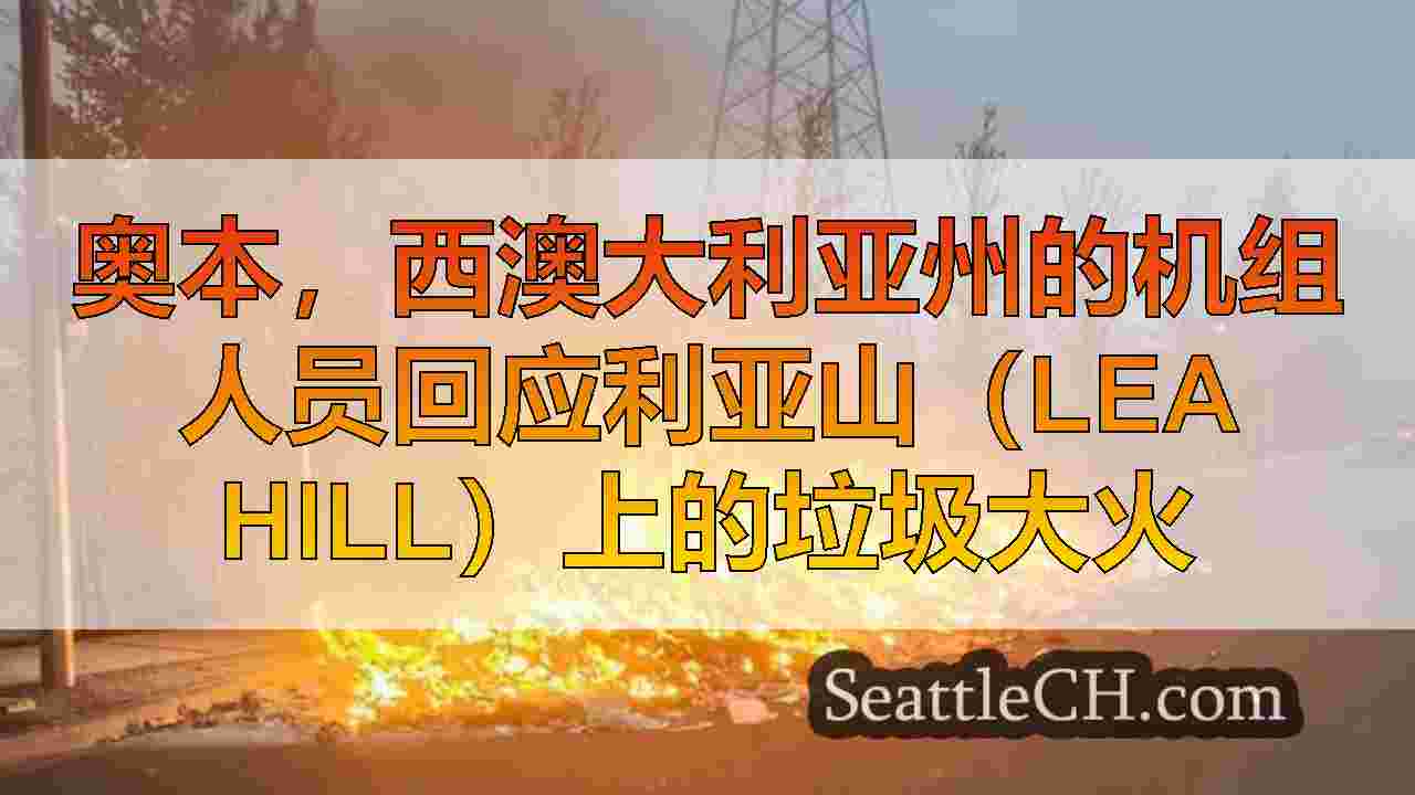奥本，西澳大利亚州的机组人员回应利亚山（Lea Hill）上的垃圾大火