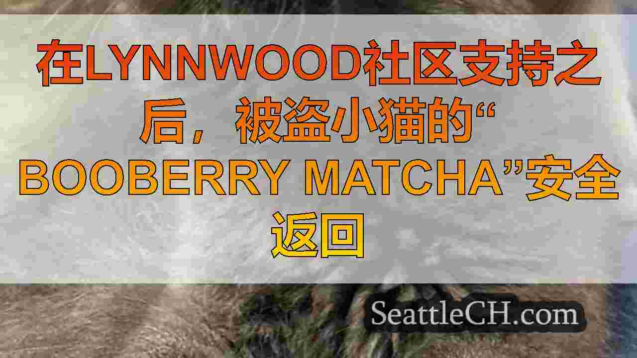 西雅图新闻 SeattleCH