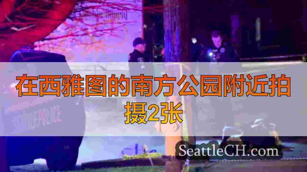 2个在西雅图南公园附近开枪的青少年