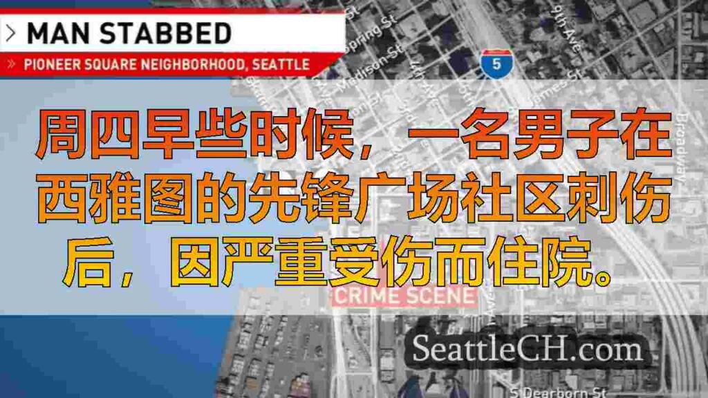 嫌疑人在西雅图的先驱广场刺伤脖子后逃离