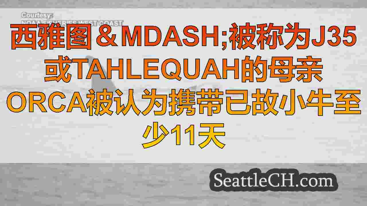 西雅图新闻 SeattleCH