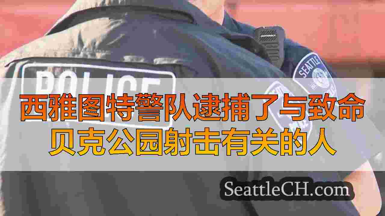 西雅图新闻 SeattleCH