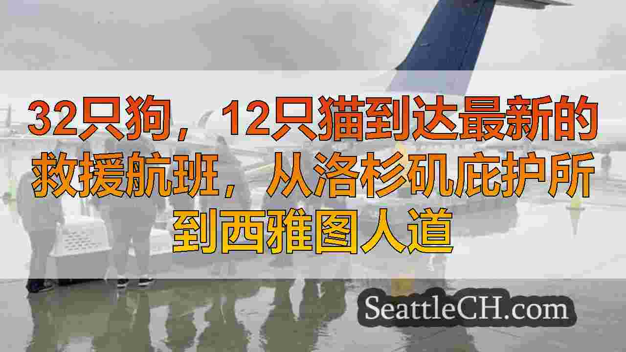 西雅图新闻 SeattleCH