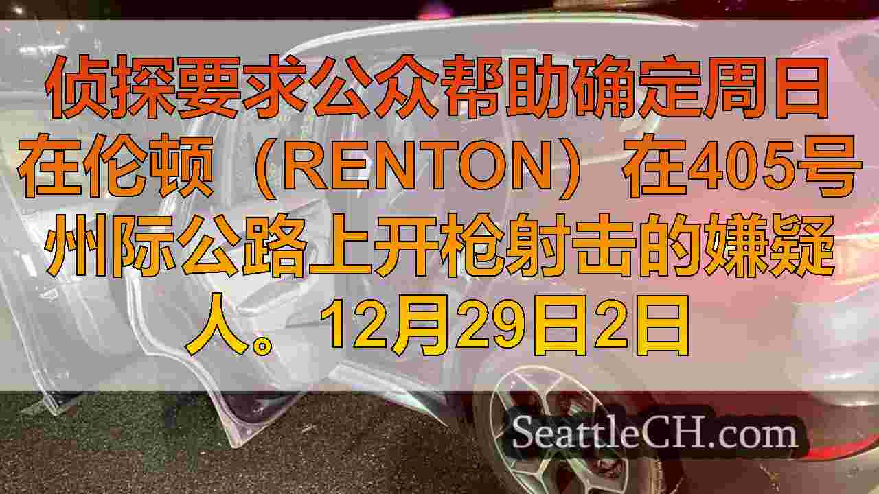 侦探希望公众可以怀疑谁在I-405上开枪射击了夫妇的SUV