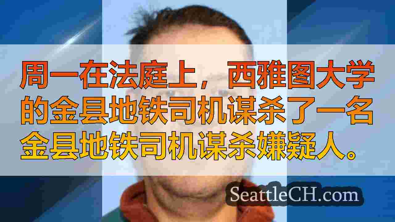 保释金定为500万美元，可疑刺伤地铁公交车司机的谋杀案