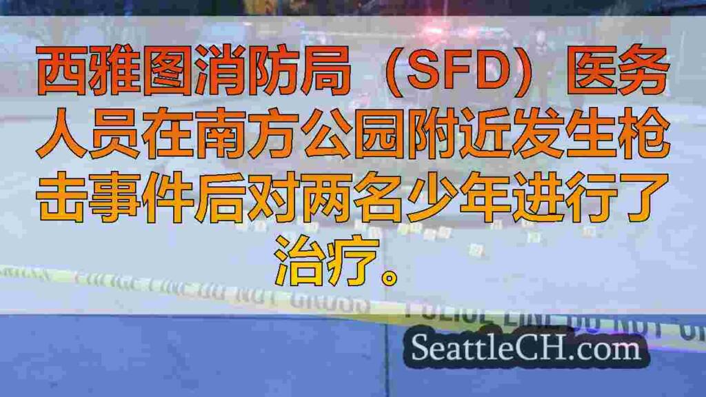 两个十几岁的男孩在西雅图的南方公园附近开枪射击