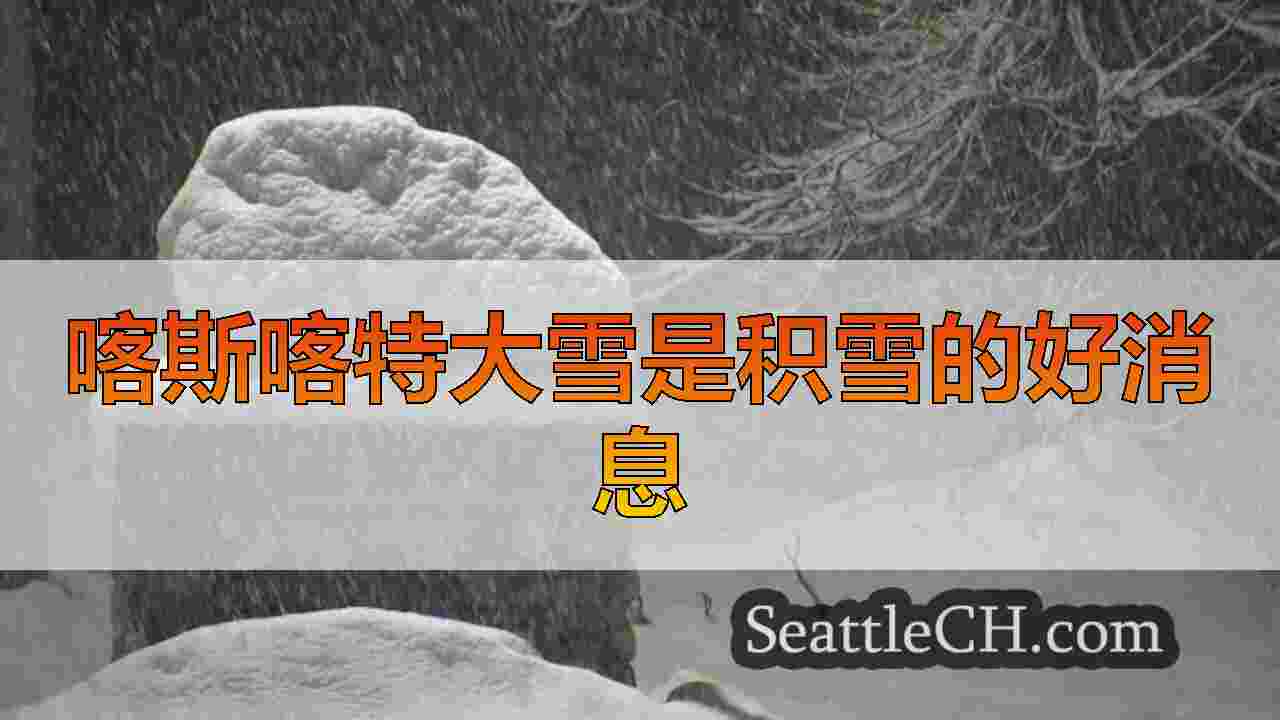 西雅图新闻 SeattleCH
