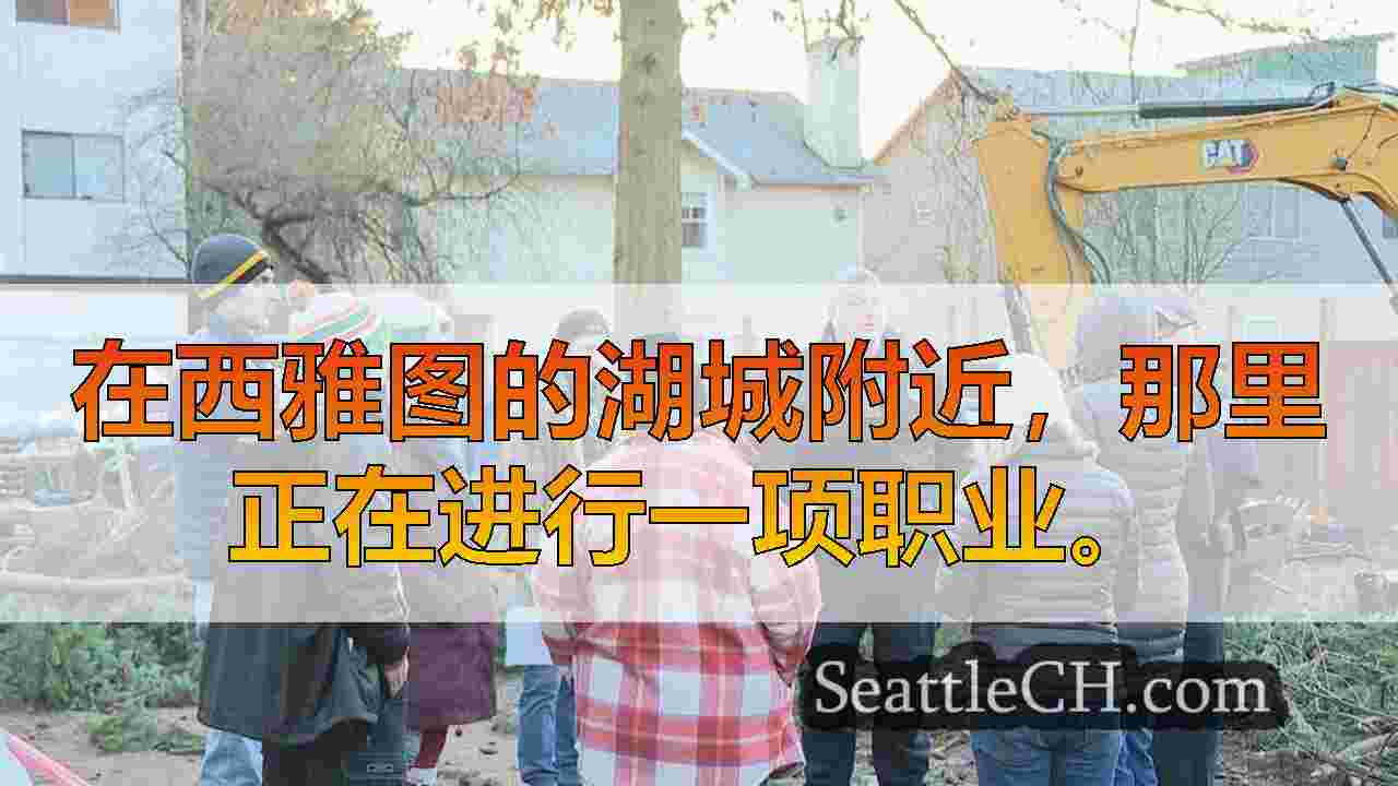 居民与西雅图湖城的砍伐树木冲突，以节省高耸的道格拉斯冷杉