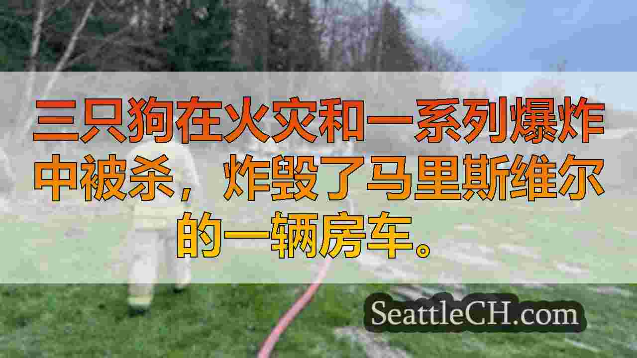 西雅图新闻 SeattleCH