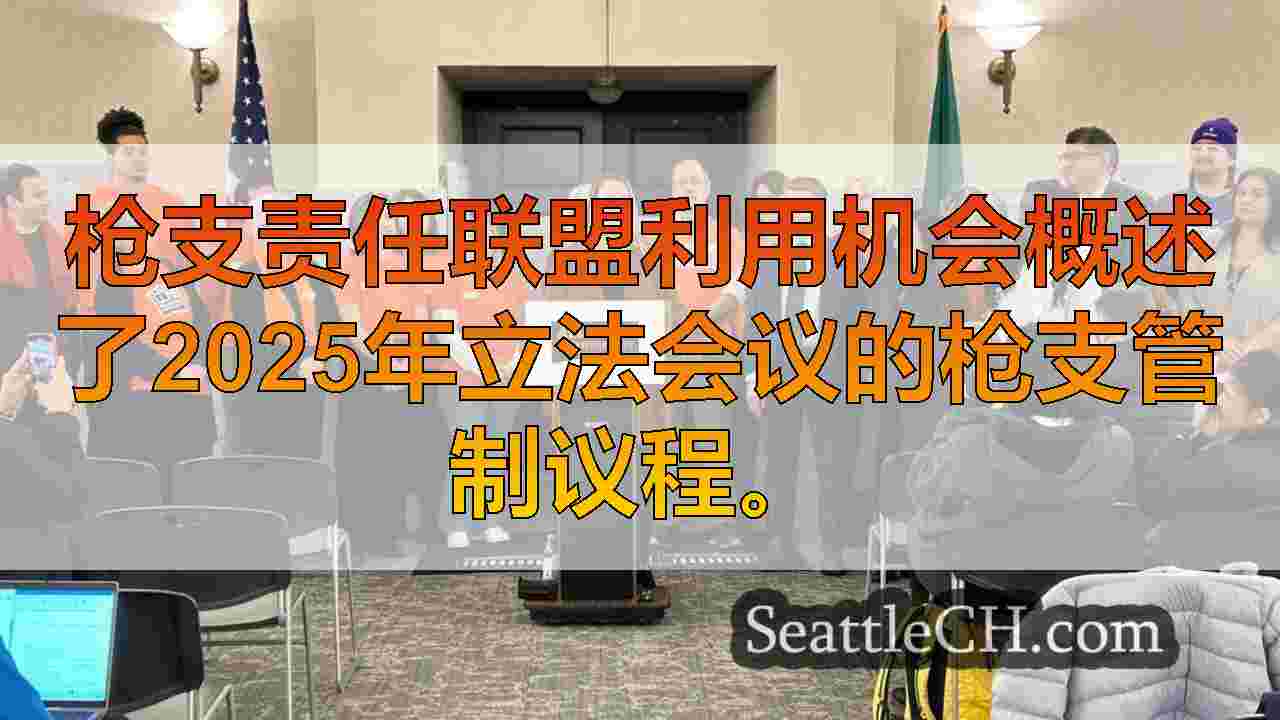 枪支管制倡导者在立法会议期间概述2025年议程