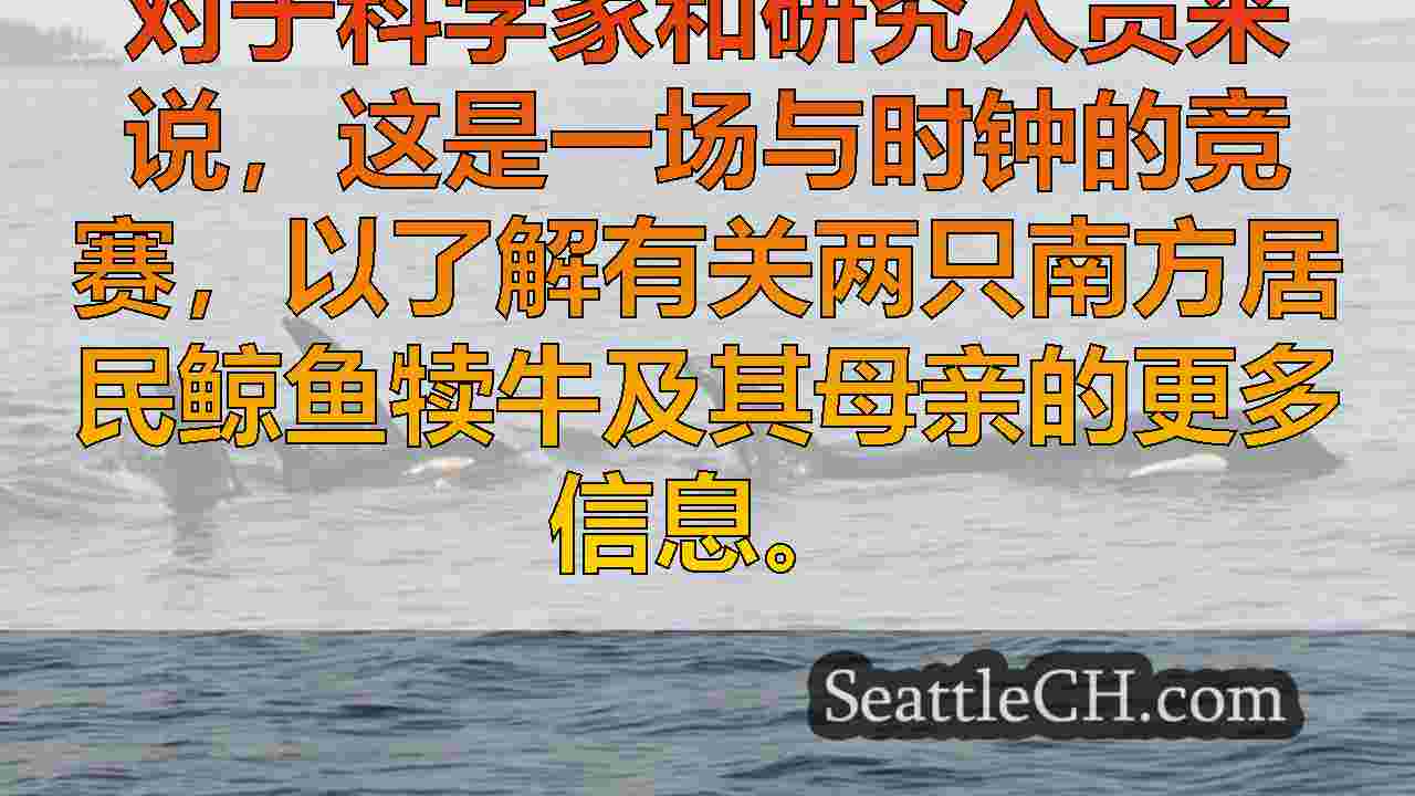 尽管开创性的研究工作