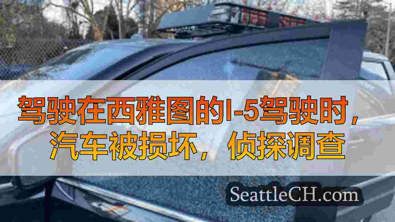 驾驶在西雅图的I-5驾驶时，汽车被损坏，侦探调查