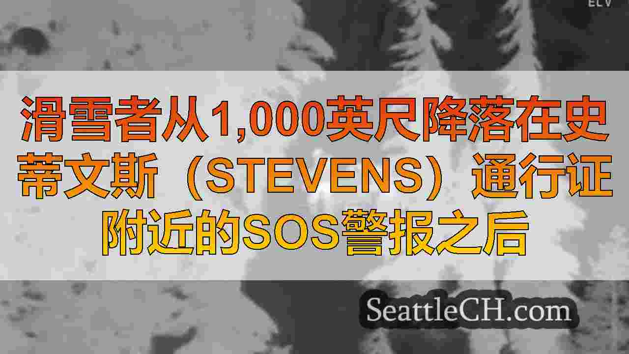 西雅图新闻 SeattleCH