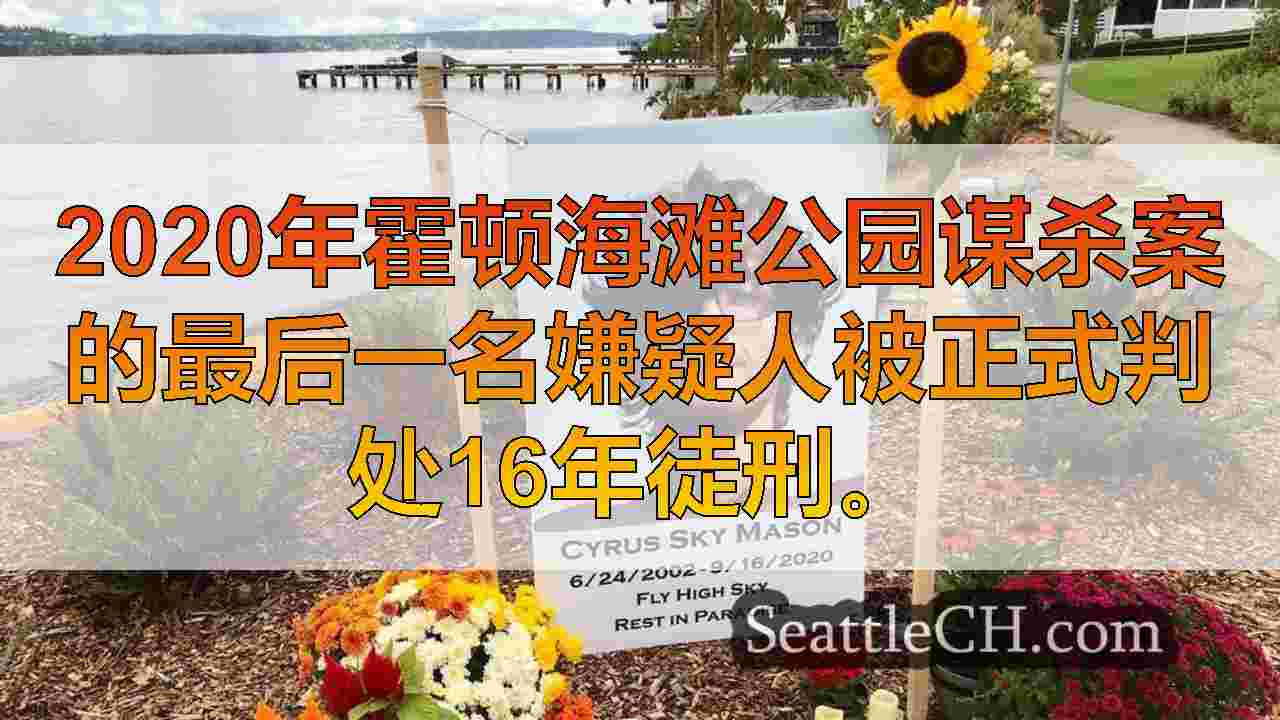 最终嫌疑人在2020年霍顿海滩公园谋杀案被判处16年监禁