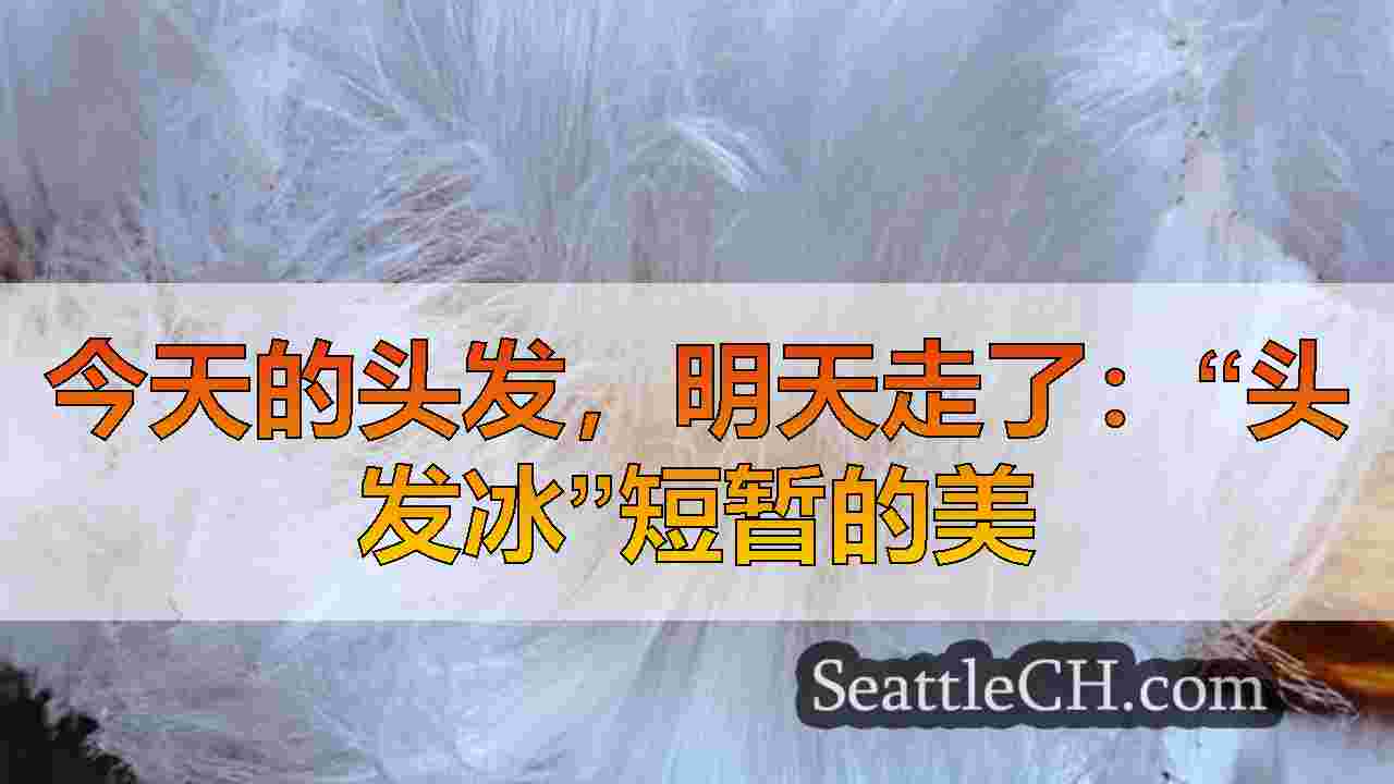 西雅图新闻 SeattleCH