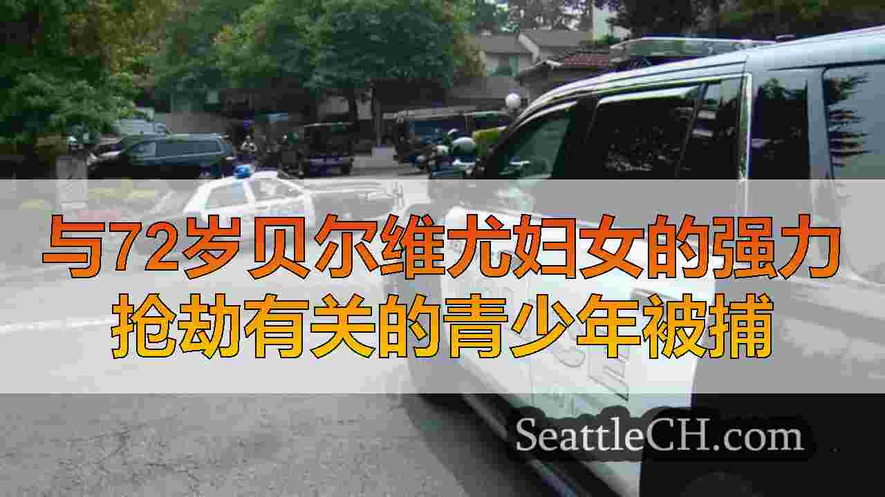 西雅图新闻 SeattleCH