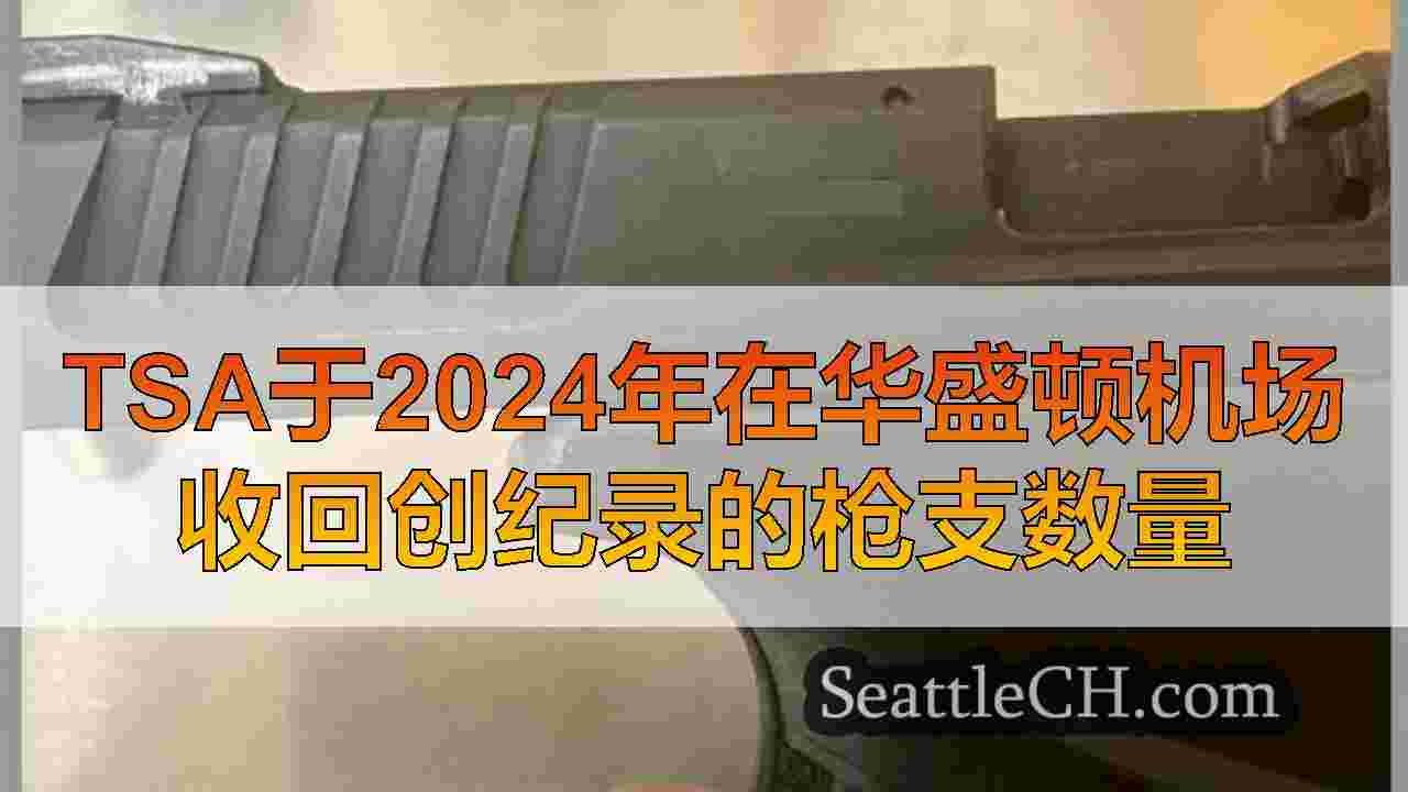 西雅图新闻 SeattleCH