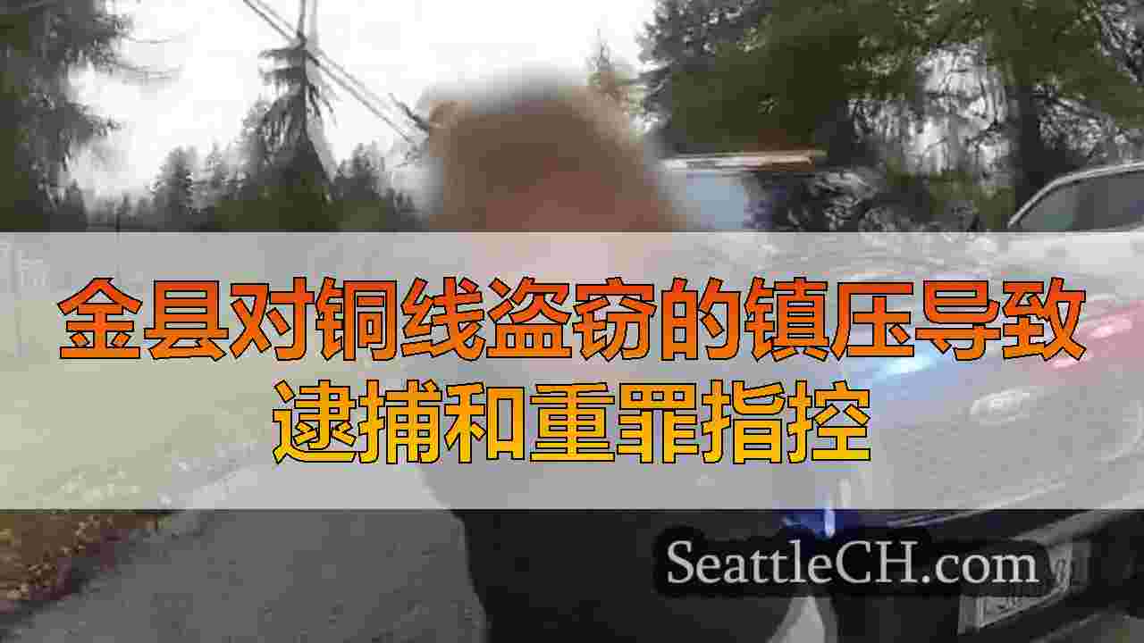 金县对铜线盗窃的镇压导致逮捕和重罪指控