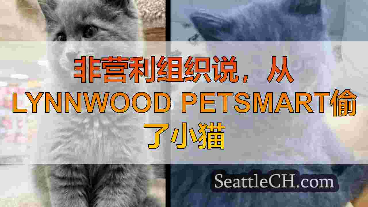 非营利组织说，从Lynnwood Petsmart偷了小猫