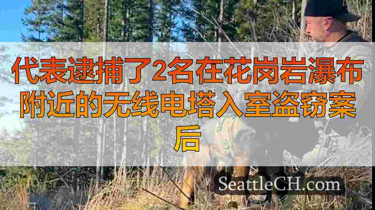 代表逮捕了2名在花岗岩瀑布附近的无线电塔入室盗窃案后