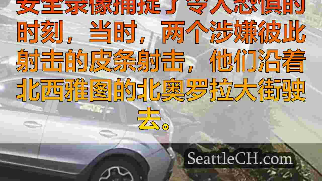 皮条客之间的草皮战争导致Aurora Avenue的戏剧性枪战