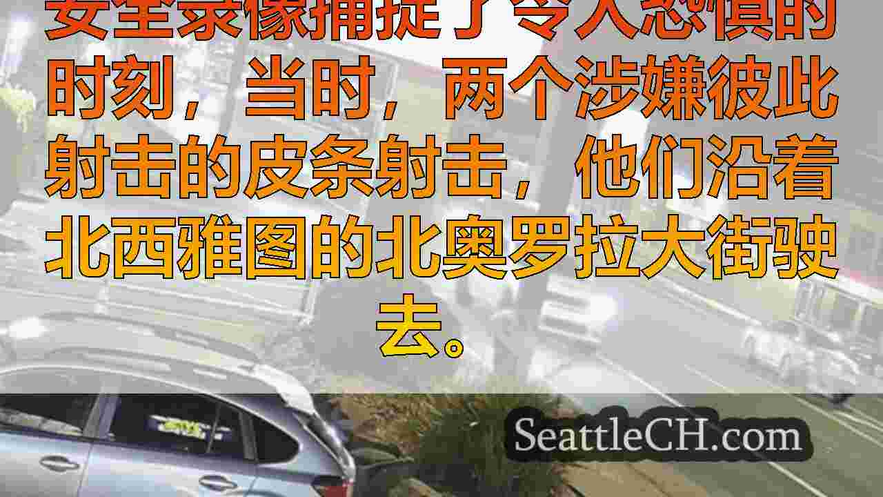 西雅图新闻 SeattleCH