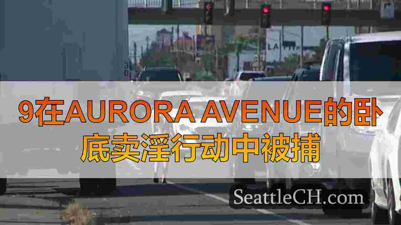 9在Aurora Avenue的卧底卖淫行动中被捕