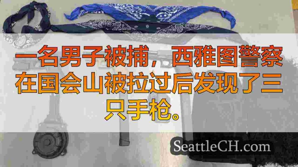 在将枪对准国会山的人之后，发现有修改的武器的人