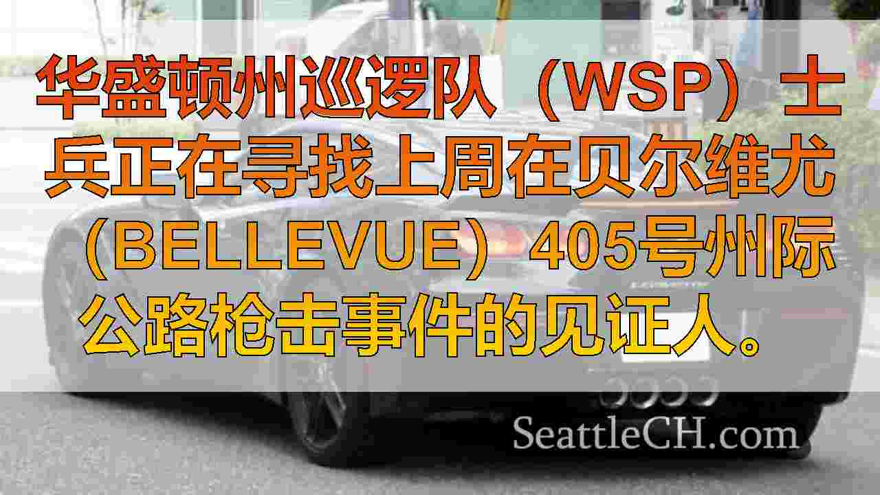 西雅图新闻 SeattleCH