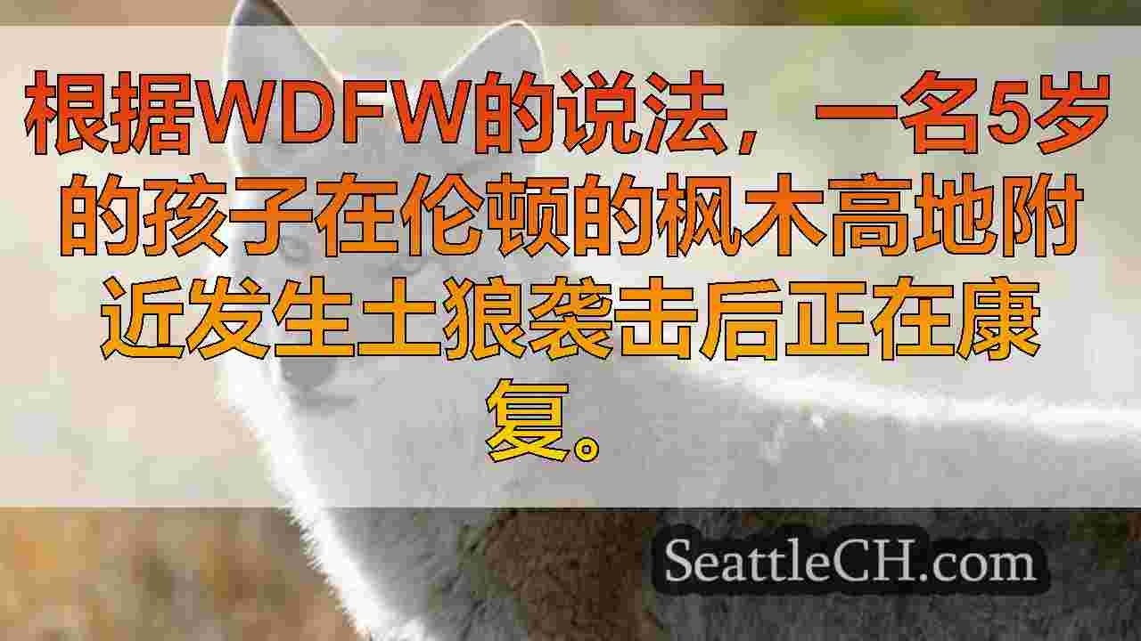 西雅图新闻 SeattleCH