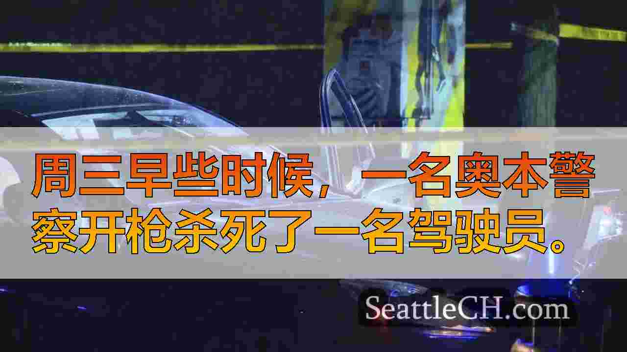 奥本警察在交通停止期间射击，杀死驾驶员
