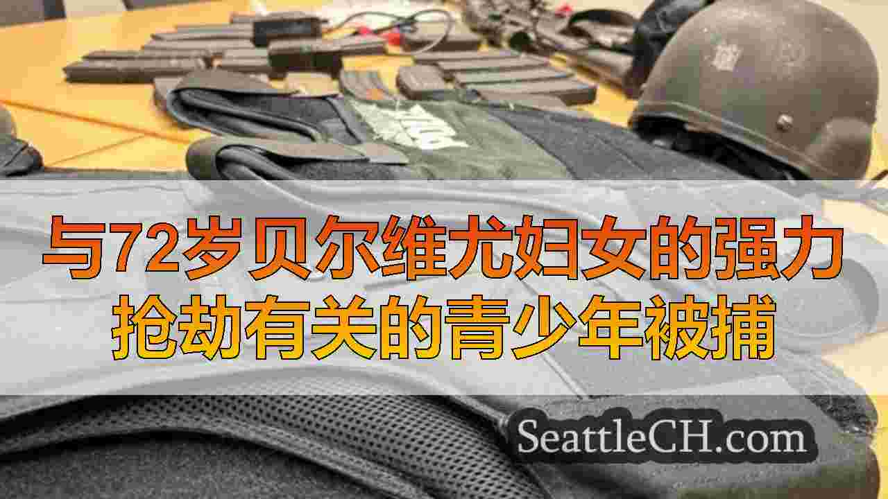 西雅图新闻 SeattleCH