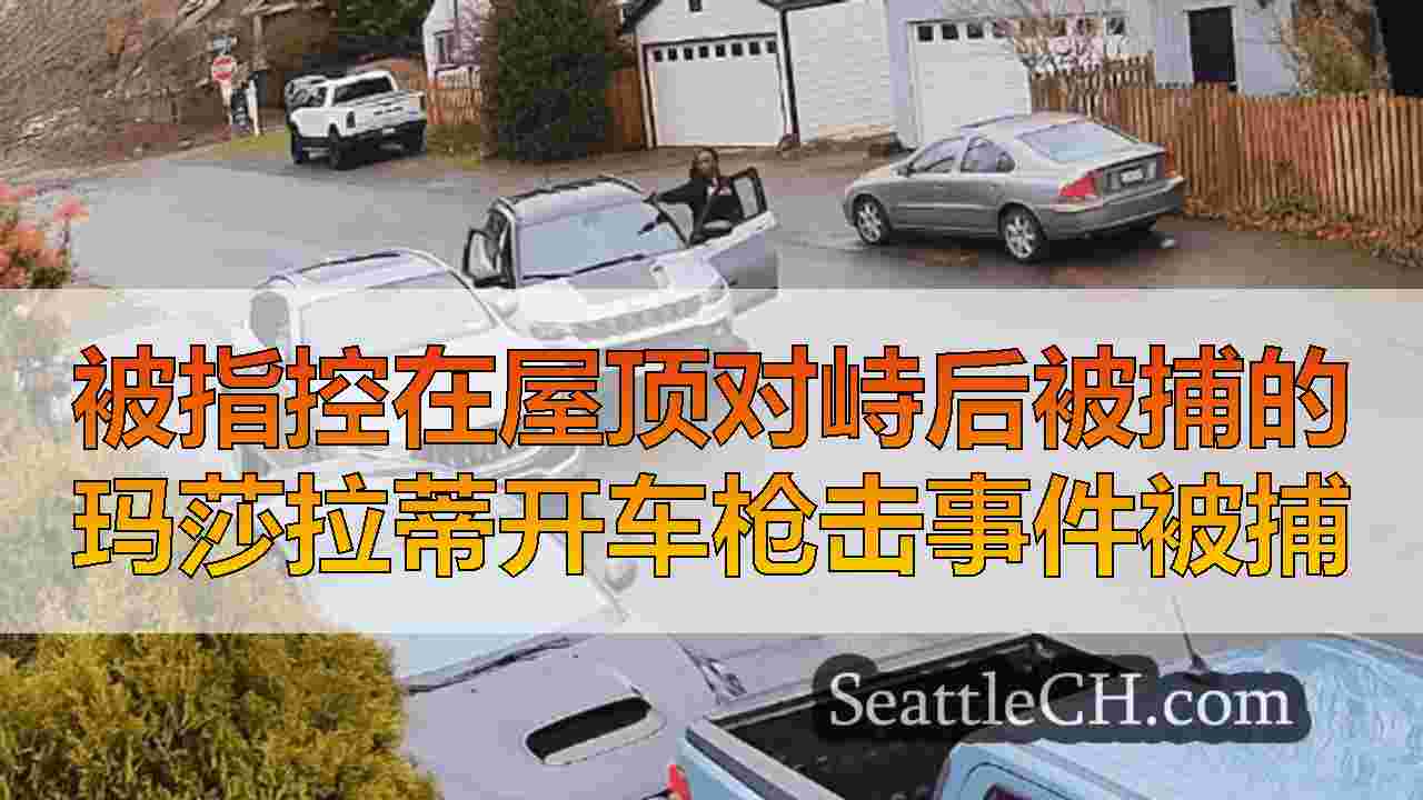 被指控在屋顶对峙后被捕的玛莎拉蒂开车枪击事件被捕