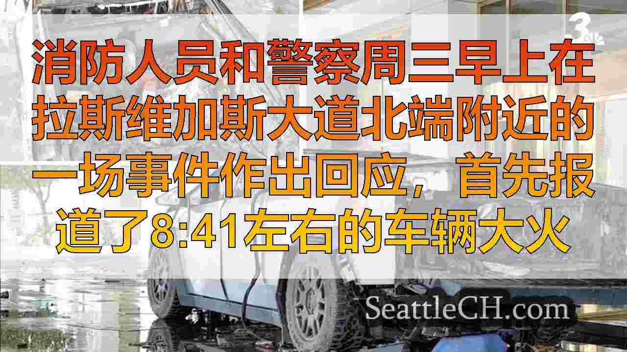 报告：在拉斯维加斯的特朗普酒店爆炸案件被调查为《恐怖法》