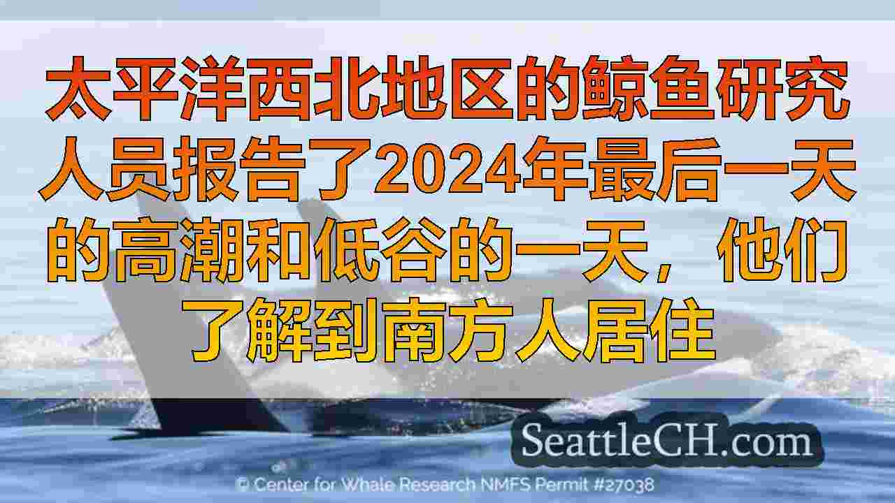 西雅图新闻 SeattleCH