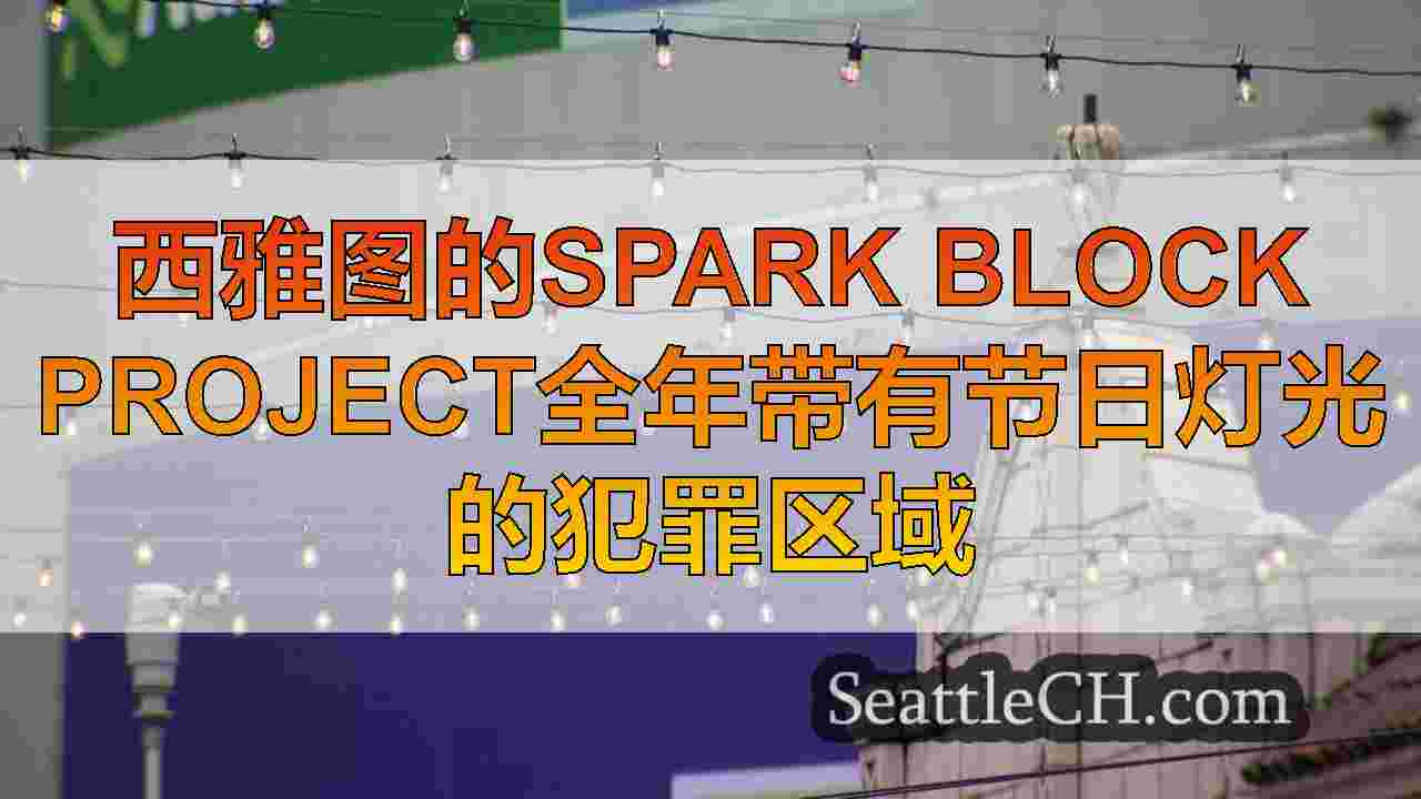 西雅图的Spark Block Project全年带有节日灯光的犯罪区域