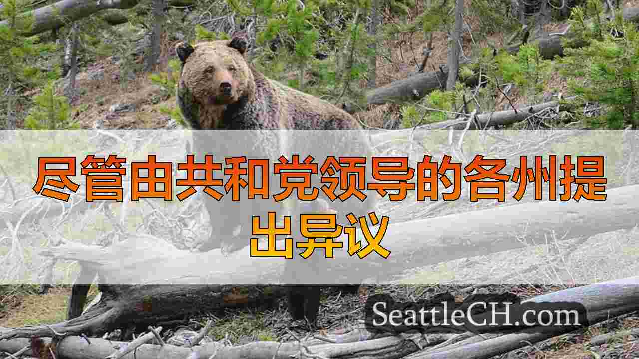 美国将继续保护2,000多个落基山灰熊