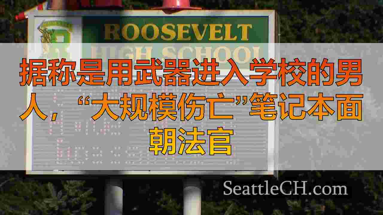据称是用武器进入学校的男人，“大规模伤亡”笔记本面朝法官