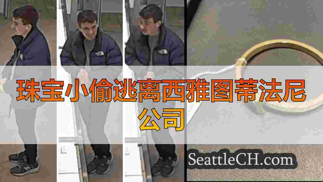 珠宝小偷逃离西雅图蒂法尼公司