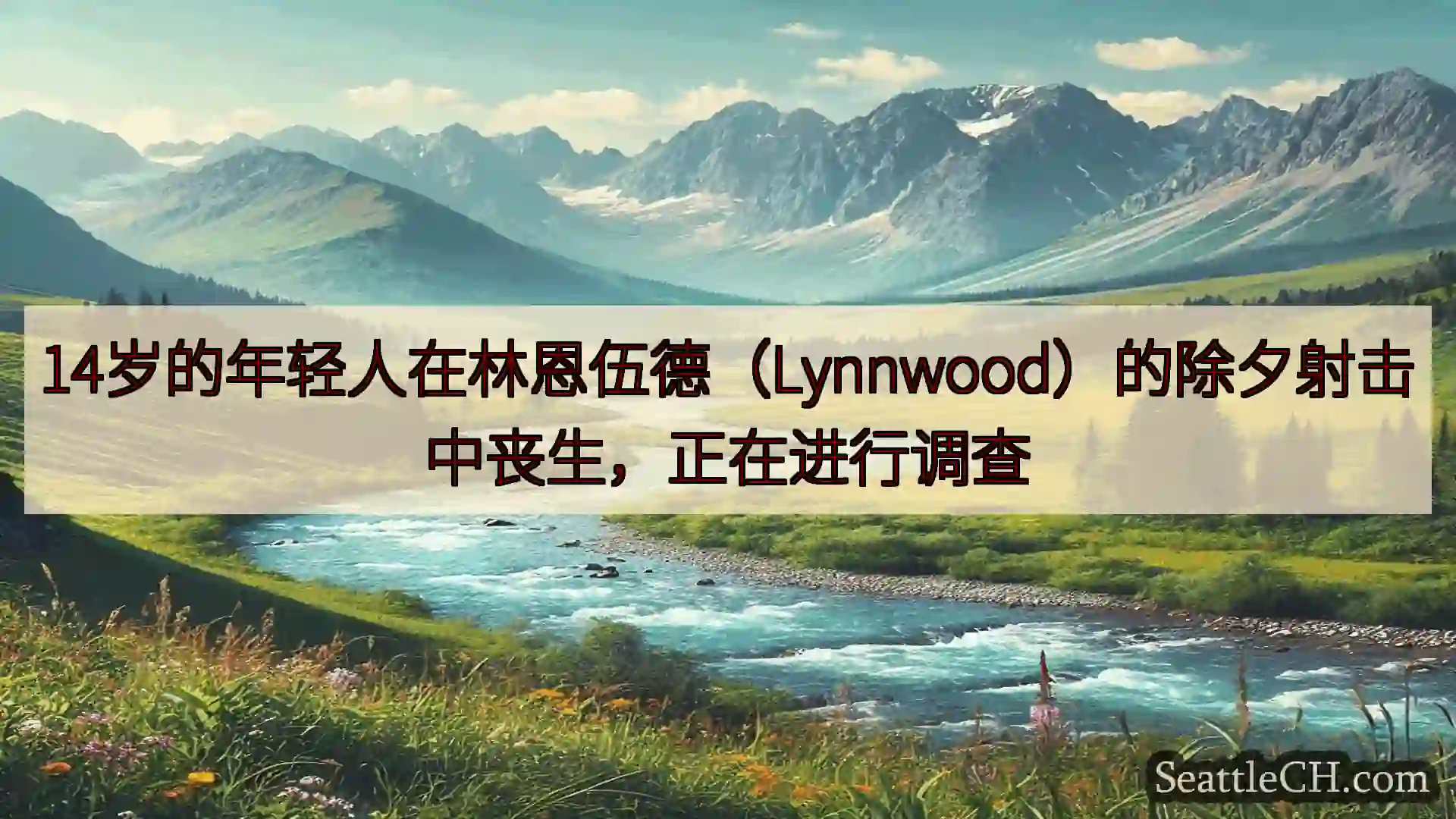 西雅图新闻 14岁的年轻人在林恩伍德（Lynnwood）的除夕射击中丧生，正在进行