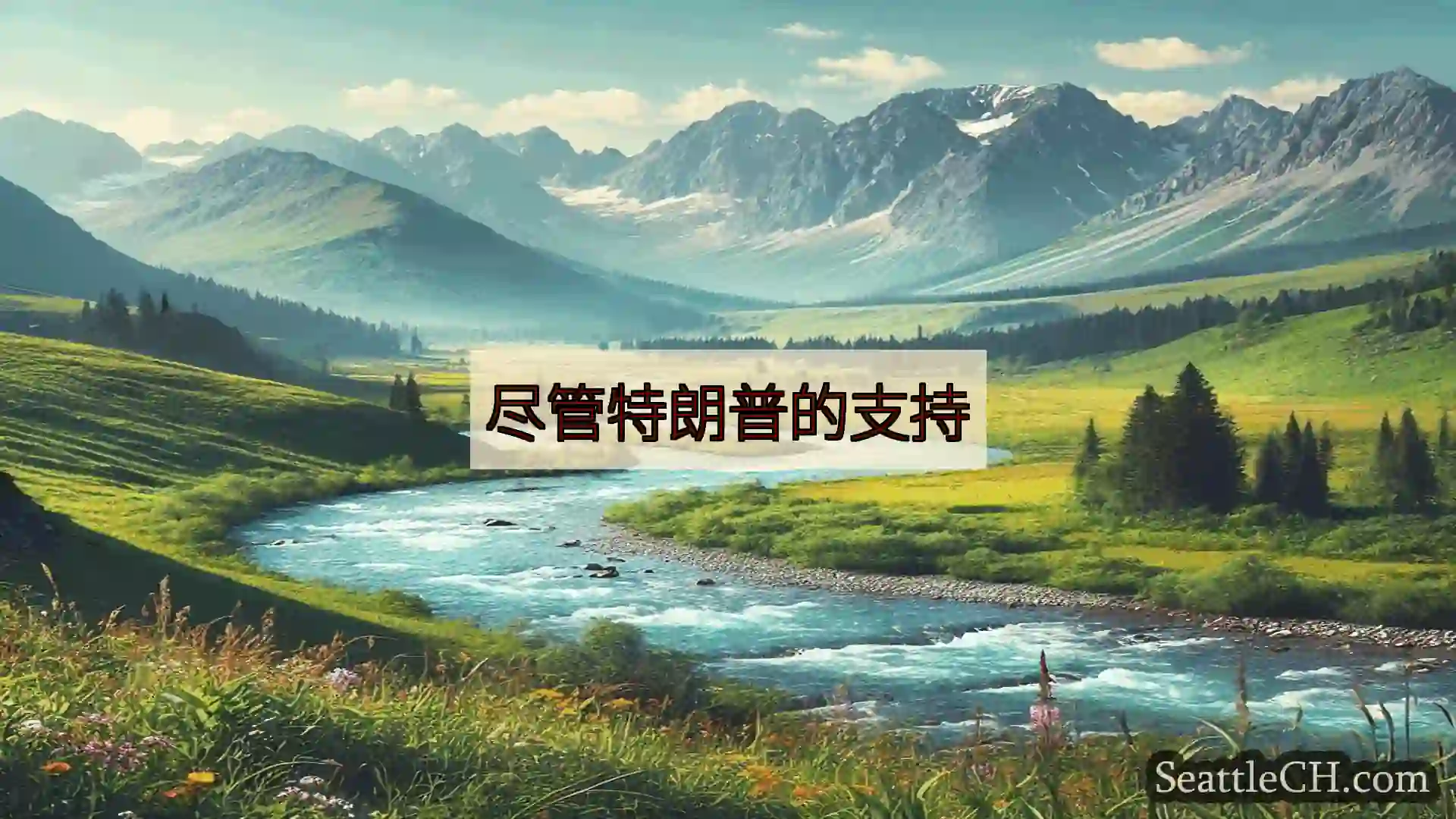 西雅图新闻 尽管特朗普的支持