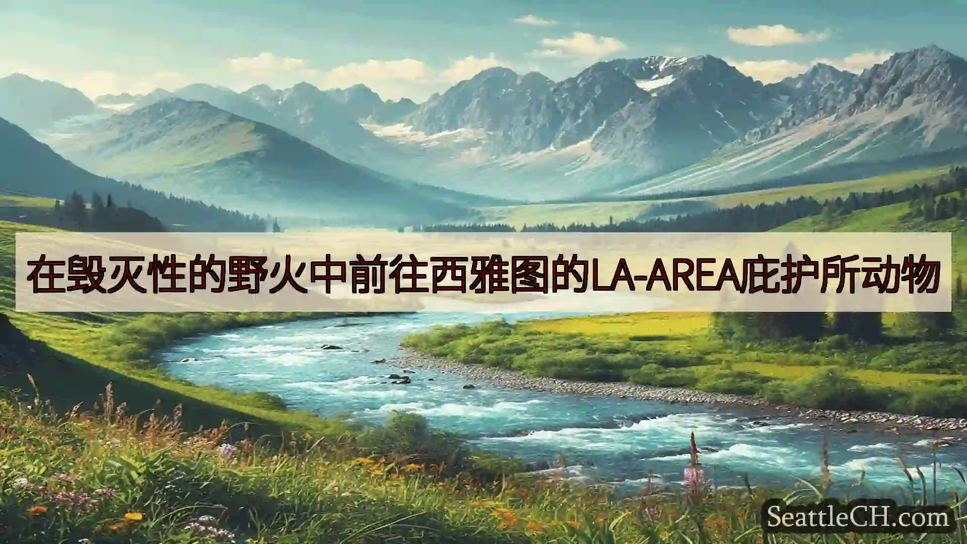 西雅图新闻 在毁灭性的野火中前往西雅图的LA-AREA庇护所动物