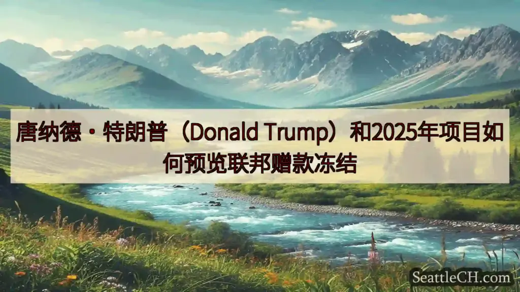 西雅图新闻 唐纳德·特朗普（Donald