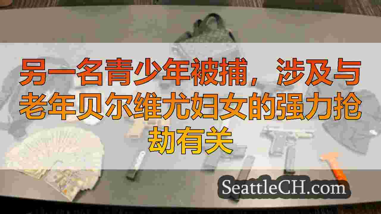 另一名青少年被捕，涉及与老年贝尔维尤妇女的强力抢劫有关