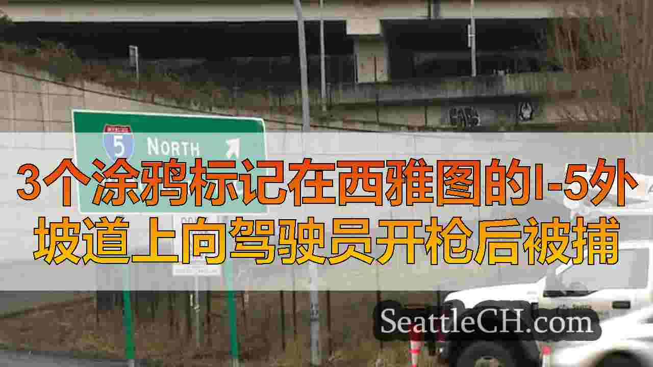 3个涂鸦标记在西雅图的I-5外坡道上向驾驶员开枪后被捕