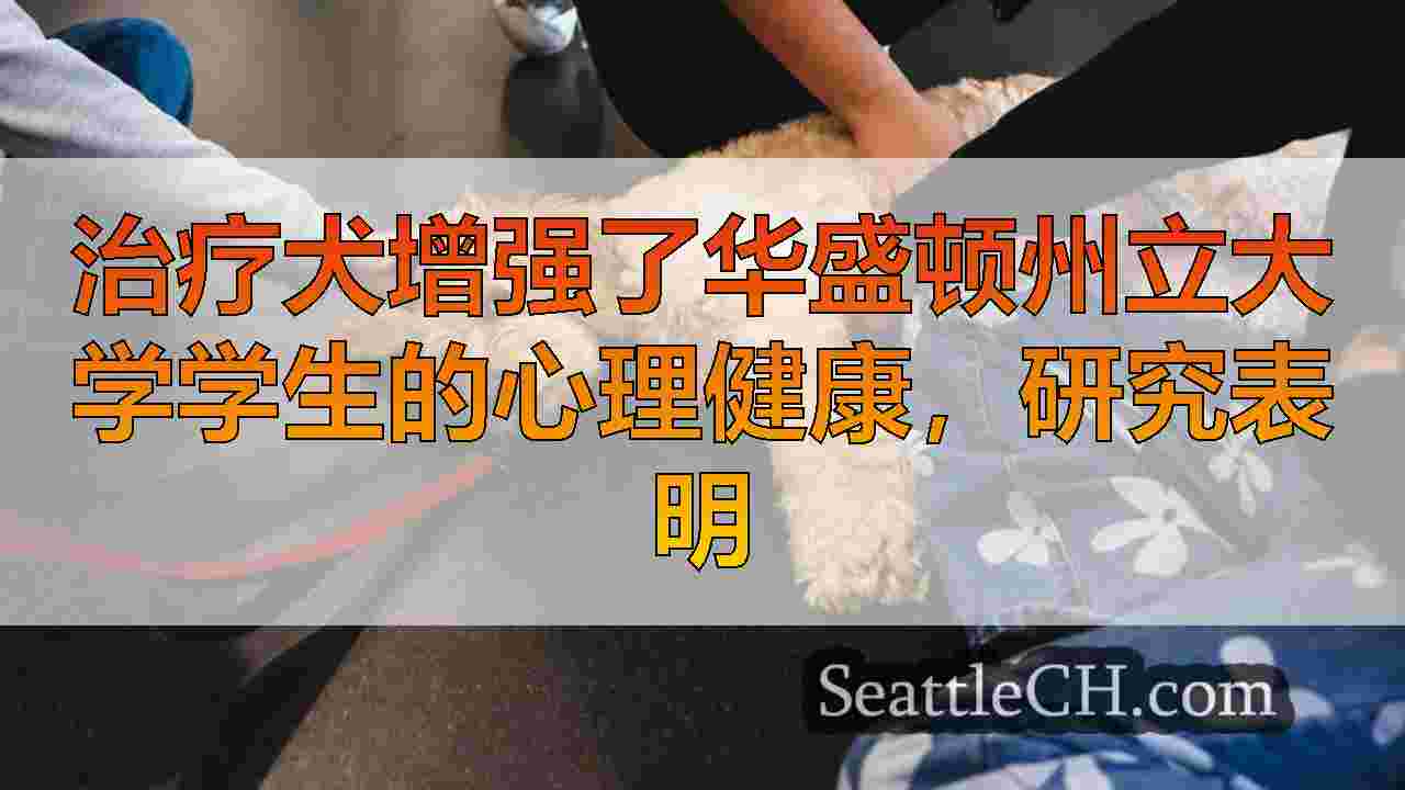 治疗犬增强了华盛顿州立大学学生的心理健康，研究表明