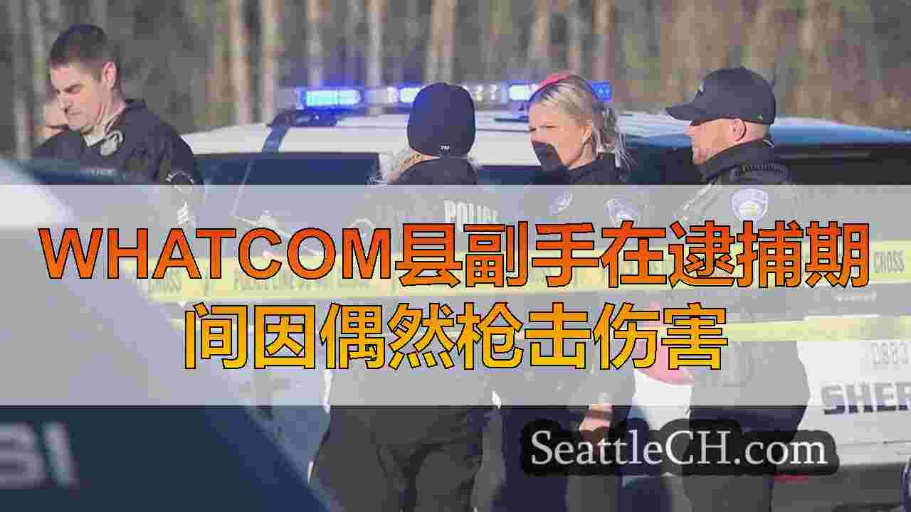 Whatcom县副手在逮捕期间因偶然枪击伤害