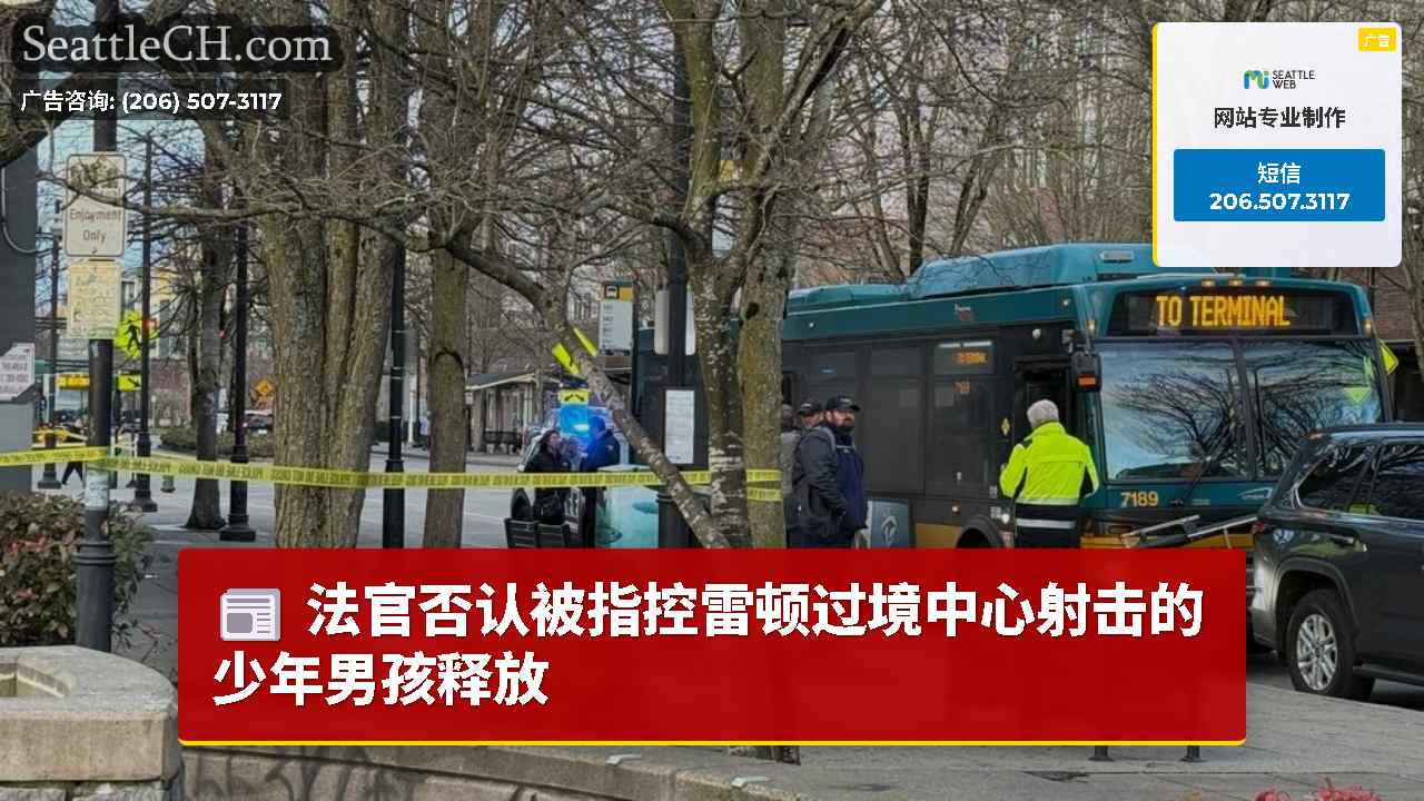法官否认被指控雷顿过境中心射击的少年男孩释放