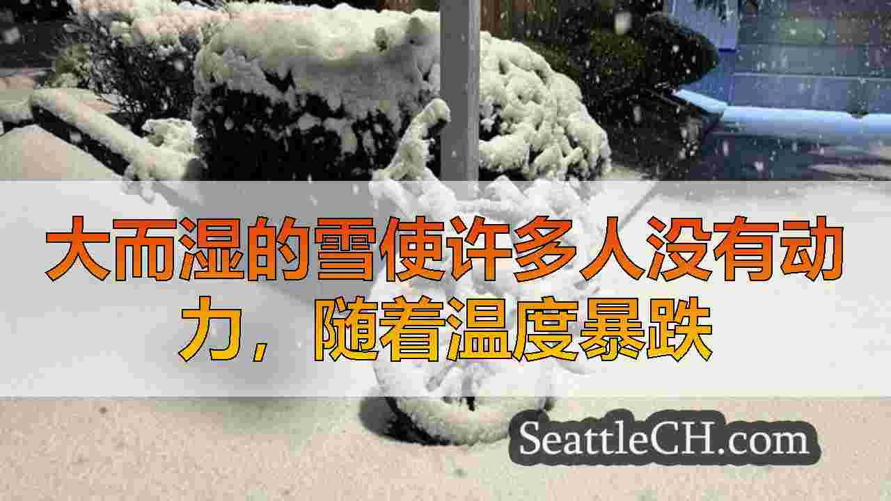 西雅图新闻 SeattleCH