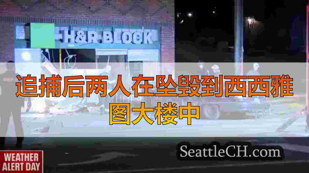 追捕后两人在坠毁到西西雅图大楼中
